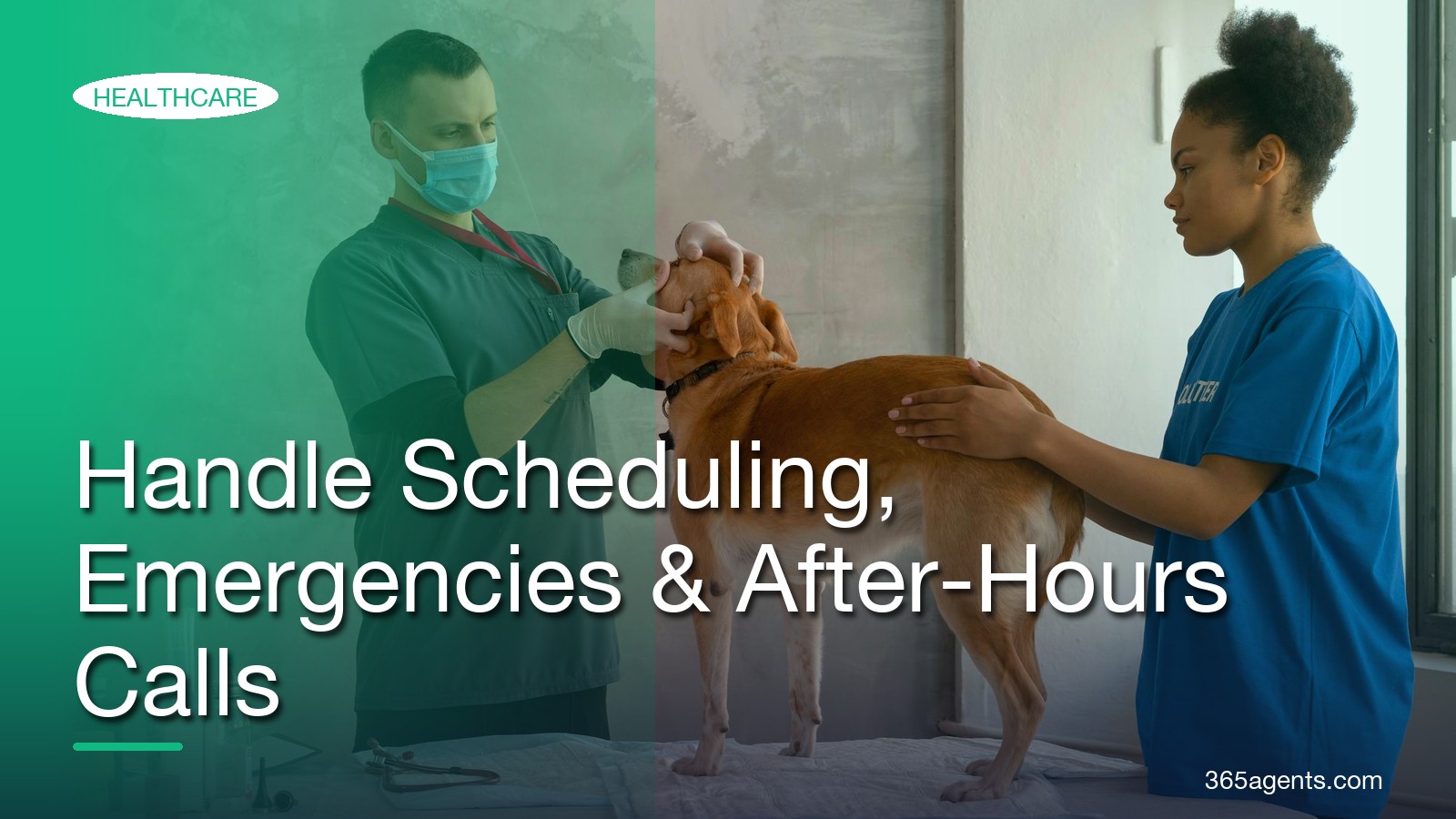 AI Receptionist for Veterinary Clinics: Handle Scheduling, Emergencies & After-Hours Calls – 365agents